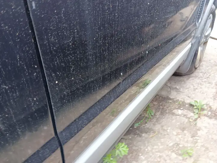 Opel Antara (2011 - 2017) Дверь — фото 4