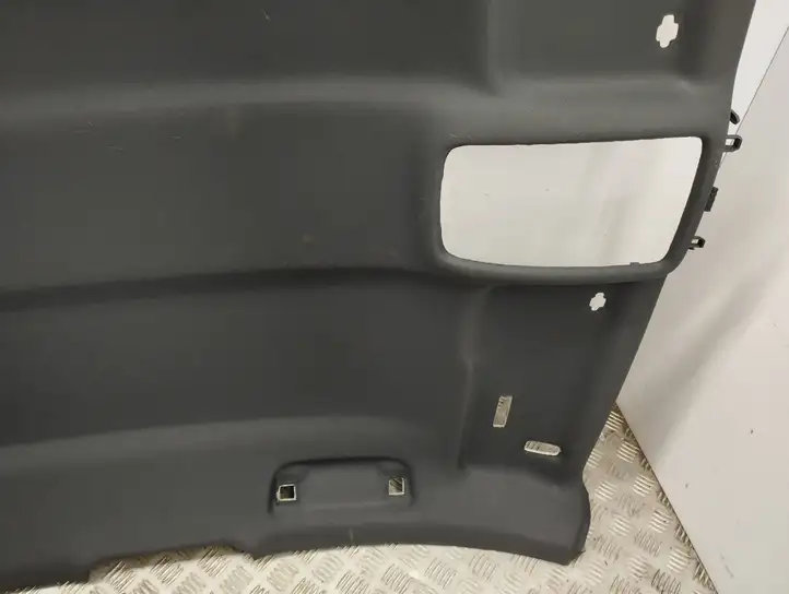 Audi A3/S3 8Y (2020 - ) 8Y4867505A Потолочная обшивка — фото 11