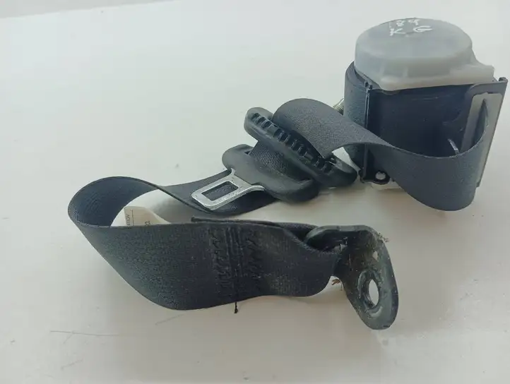 Ford Focus (2011 - 2015)  E40436146 Задний ремень безопасности