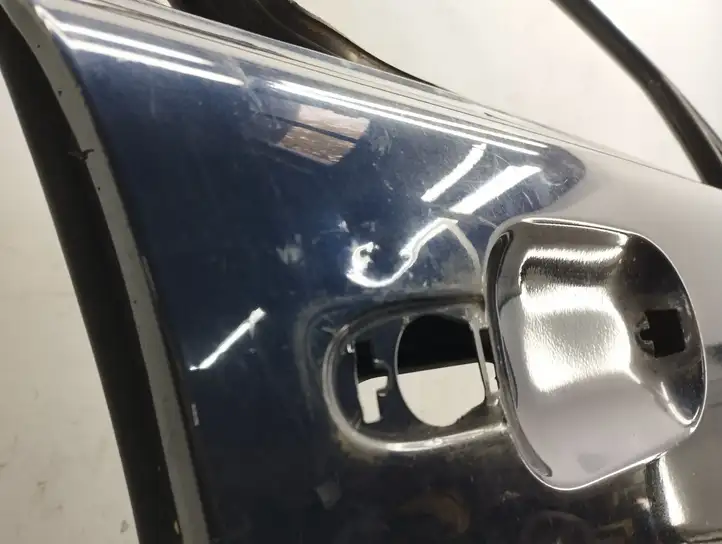 Volvo XC90 (2002 - 2006) Дверь — фото 4