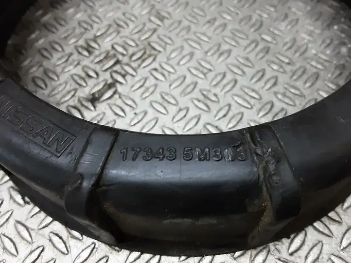 Nissan Qashqai (2006 - 2010) 173435M303 Гайка топливного насоса — фото 2