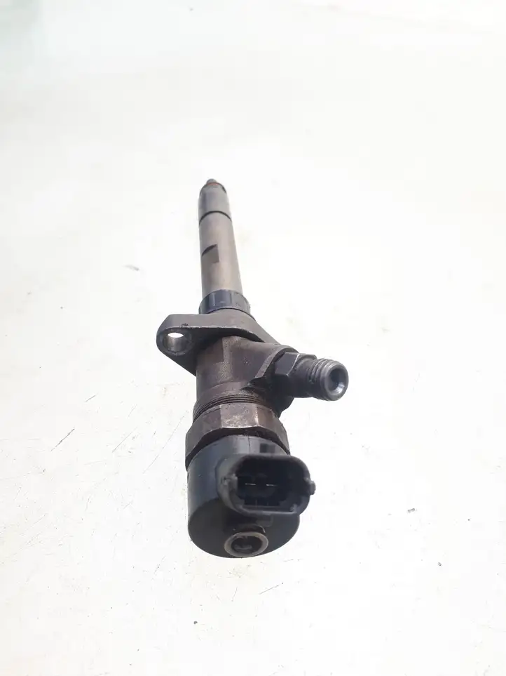 Citroen C5 (2001 - 2004) 0445110036 Форсунка — фото 3