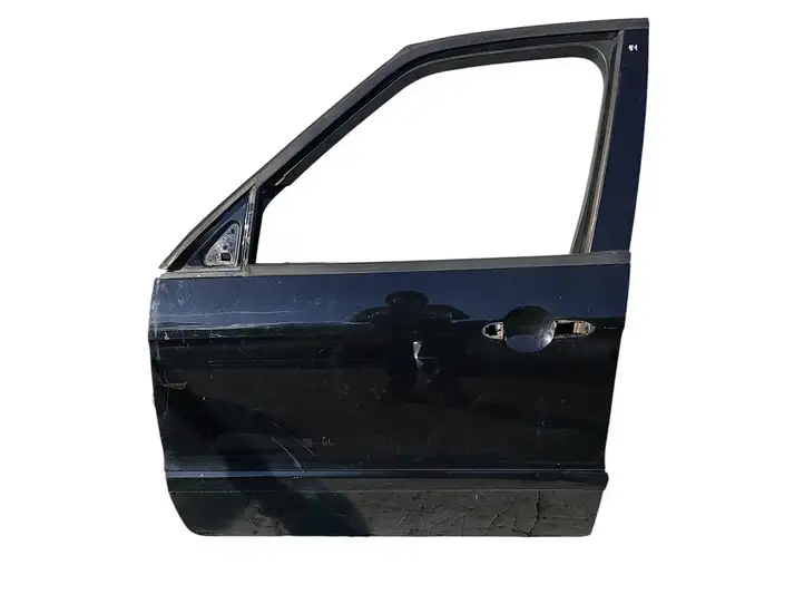 Ford S-MAX (2006 - 2010) Дверь — фото 1
