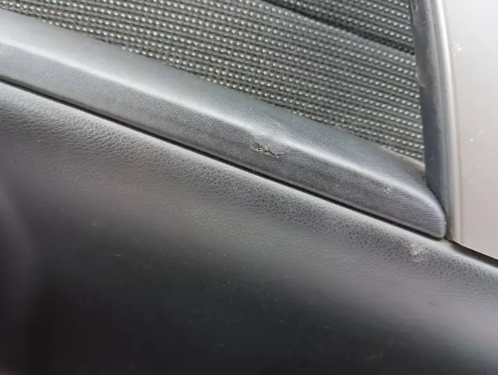 BMW 5 E60 E61 (2004 - 2010) E345961 Обшивка задней двери — фото 4