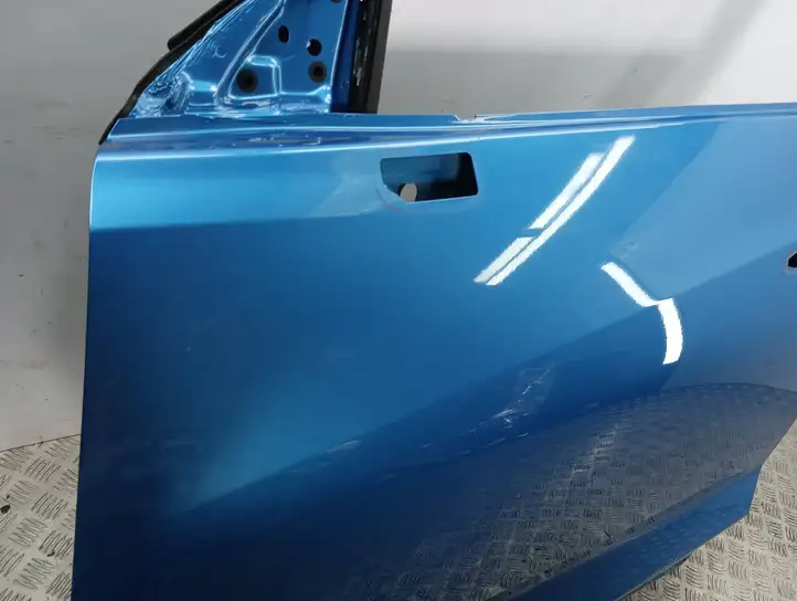 Nissan Juke II F16 (2019 - ) Дверь — фото 10