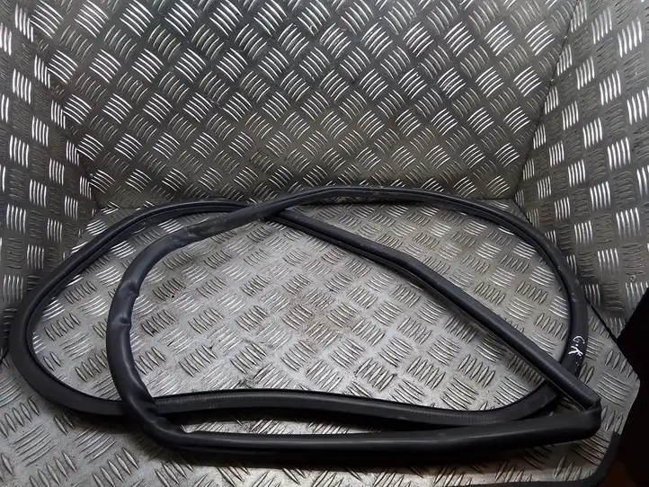 Lexus RX 450h (2015 - 2019)   Уплотнительная резина (на кузове)