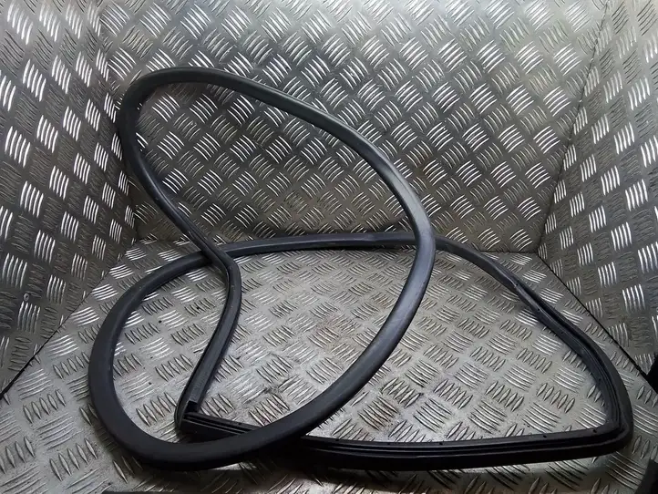 Lexus RX 450h (2015 - 2019)   Уплотнительная резина (на кузове)