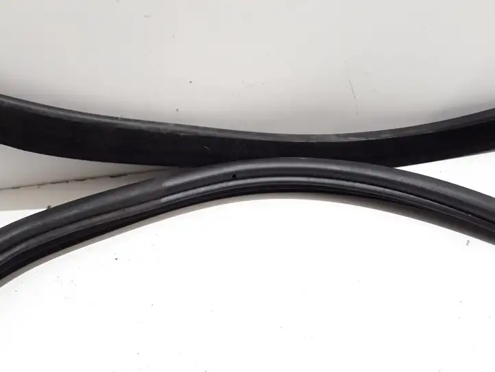 Land Rover Range Rover Sport (2005 - 2009)  CFE000771 Уплотнительная резина (на кузове)