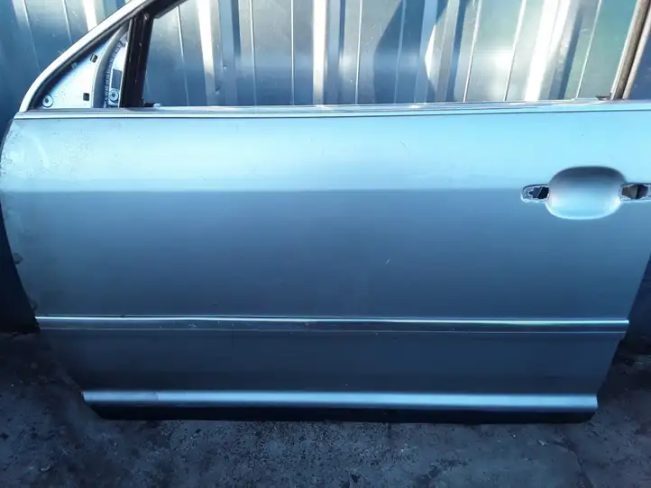 Volkswagen Phaeton (2002 - 2008) Дверь — фото 3