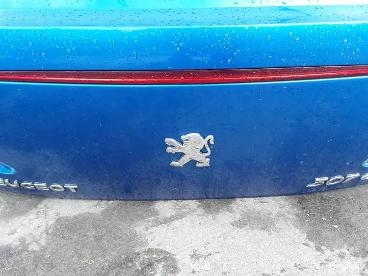 Peugeot 307 CC (2001 - 2005) Крышка багажника — фото 12