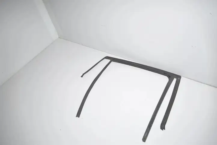 BMW X6 F16 (2014 - 2017) 7317813 Уплотнитель стекла задней двери — фото 3