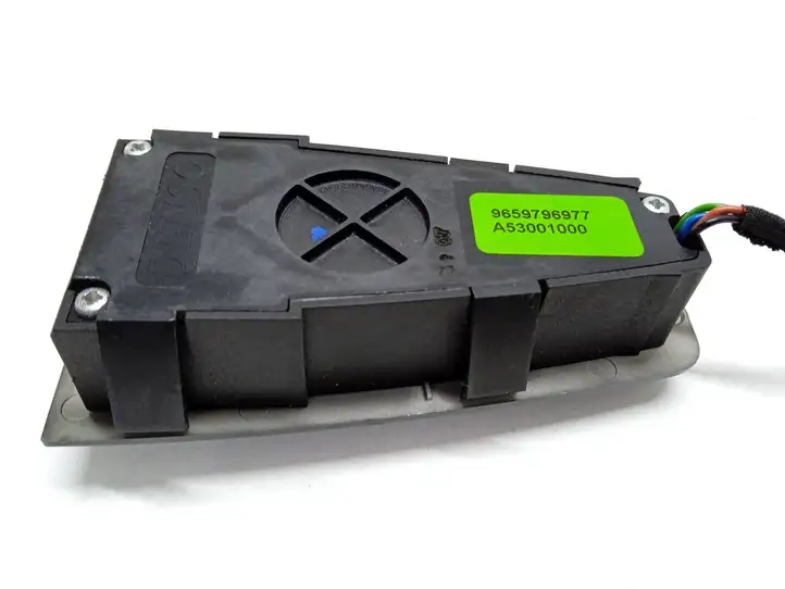 Citroen C4 I Picasso (2006 - 2013) 9659796977 Кнопка кондиционера — фото 4