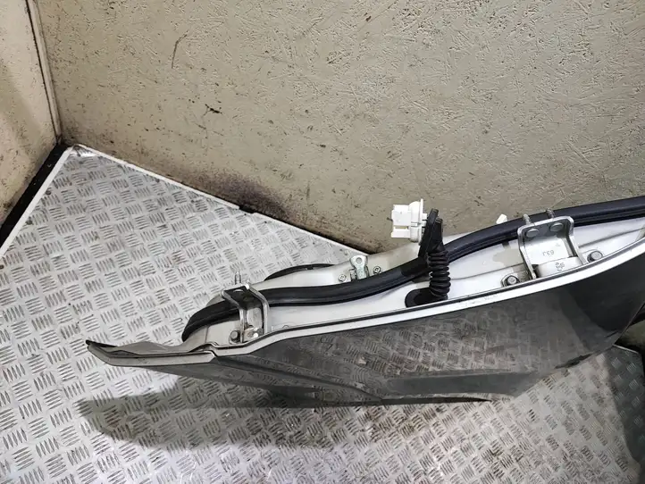 Suzuki Grand Vitara II (2008 - 2012) Задняя дверь — фото 3