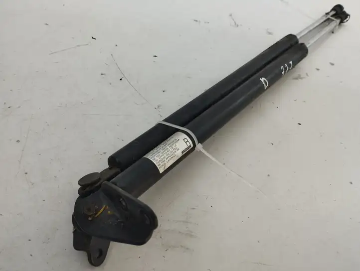 Mazda CX-7 (2009 - 2014)   Амортизатор задней крышки