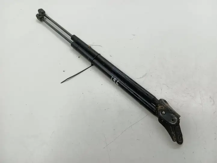 Toyota Corolla Verso AR10 (2004 - 2009) 689600F011 Амортизатор крышки багажника — фото 2