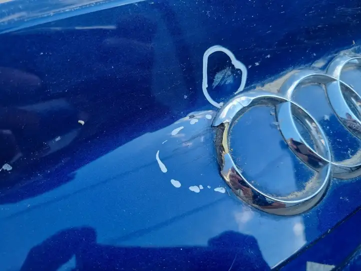 Audi A3/S3 8V (2012 - 2016) Крышка багажника — фото 2