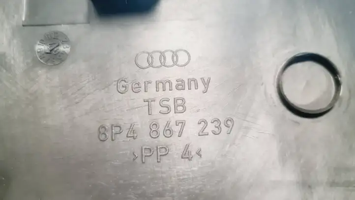 Audi A3/S3 8P (2004 - 2008) 8P4867239 Нижняя обшивка стойки B — фото 4