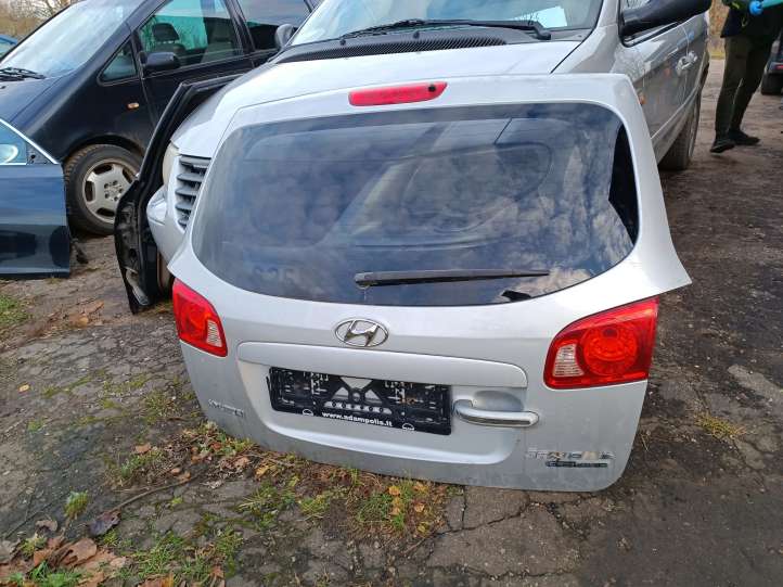 Hyundai Santa Fe Galinis dangtis (bagažinės)