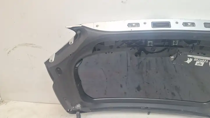 Ford Kuga I (2008 - 2012) Открывающееся стекло крышки багажника — фото 8