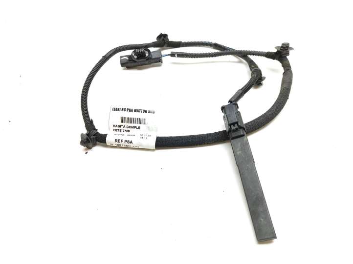 9818813880 Peugeot 3008 II Interjero komforto antena