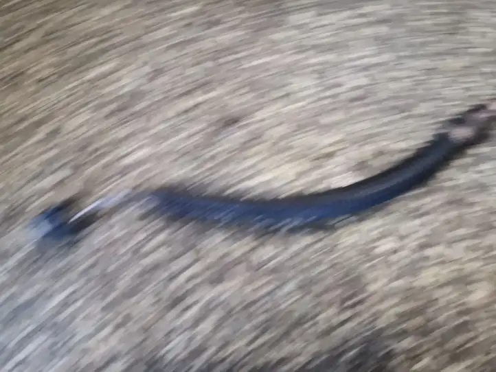 Mercedes-Benz C W204 (2007 - 2014)   Датчик температуры выхлопного газа