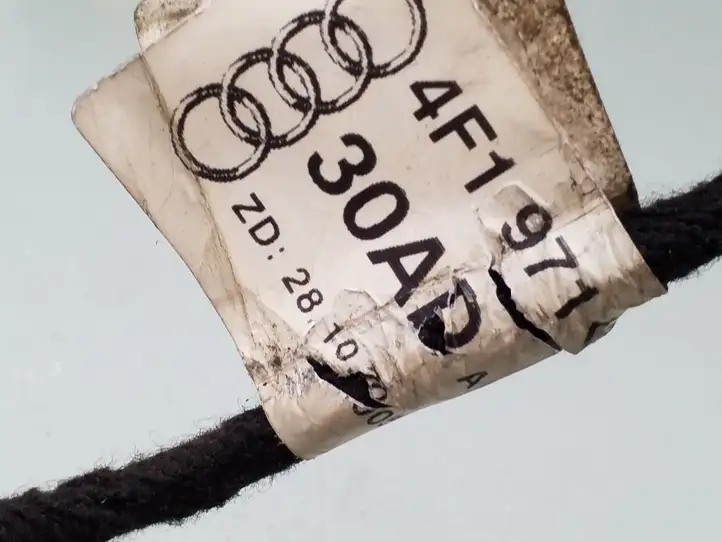Audi A6 S6 C6 4F (2004 - 2008) 4F1971030AD Проводка передней двери — фото 3