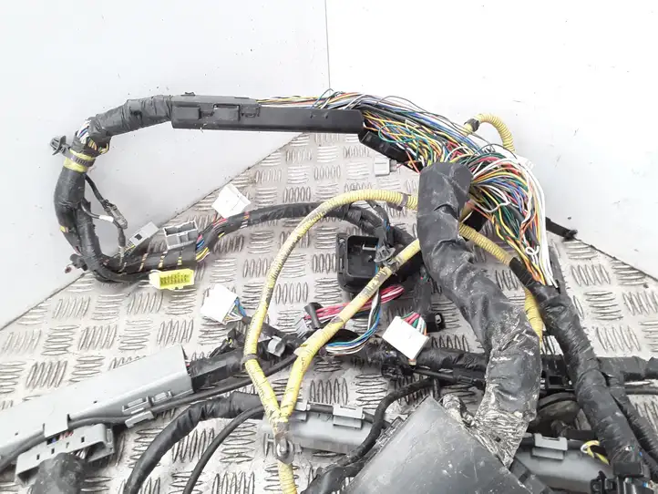Hyundai ix 55 (2006 - 2012) 918003J360 Прочая электропроводка — фото 5