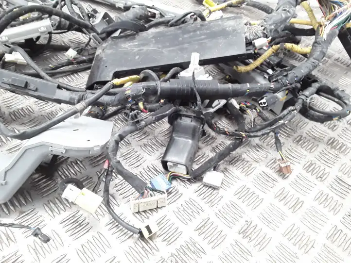 Hyundai ix 55 (2006 - 2012) 918003J360 Прочая электропроводка — фото 6