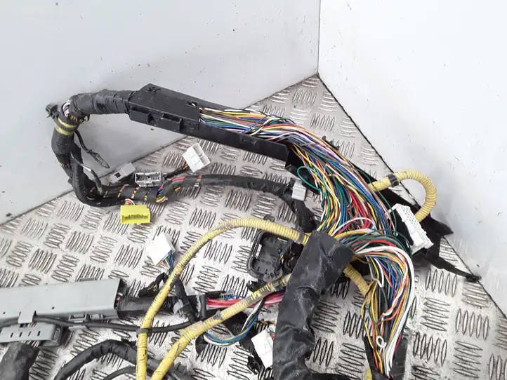 Hyundai ix 55 (2006 - 2012) 918003J360 Прочая электропроводка — фото 11