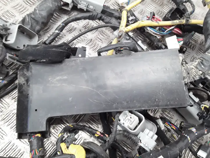 Hyundai ix 55 (2006 - 2012) 918003J360 Прочая электропроводка — фото 12