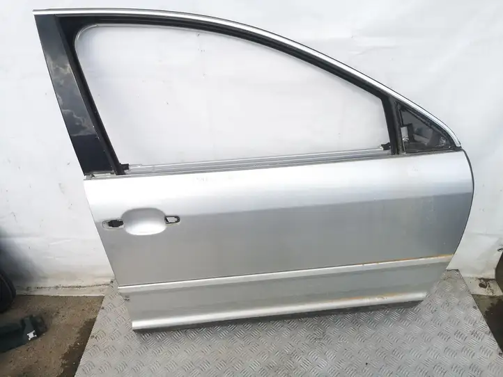Volkswagen Phaeton (2002 - 2008) Дверь — фото 1
