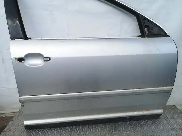 Volkswagen Phaeton (2002 - 2008) Дверь — фото 2