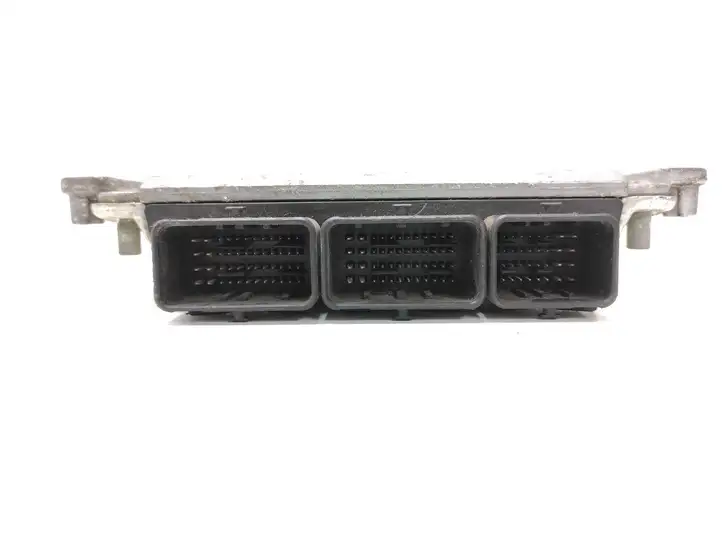 Renault Laguna (2001 - 2005)  0281010556 Блок управления двигателя