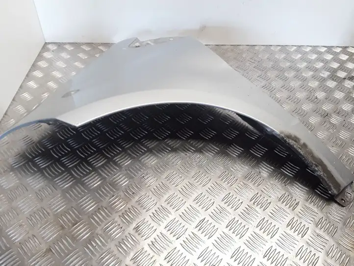 Mercedes-Benz A W169 (2004 - 2012)   Крыло