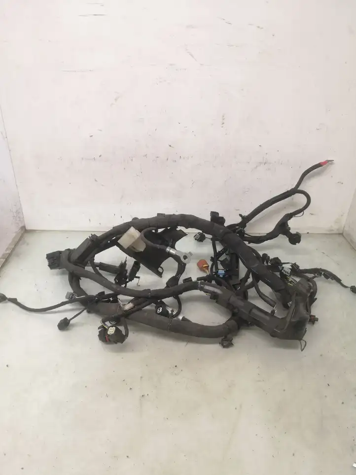 Ford Ecosport (2013 - 2018) FV2T12A522BDB Проводка двигателя — фото 1