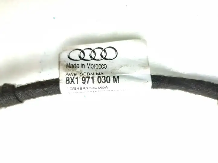 Audi S1 (2014 - 2019) 8X1971030M Проводка передней двери — фото 4