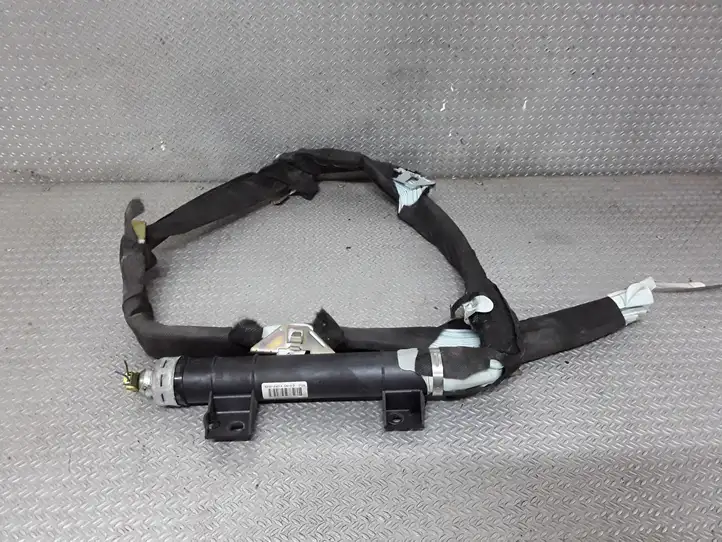 Renault Laguna II (2001 - 2005) 8200124014 Боковая подушка безопасности шторка — фото 1