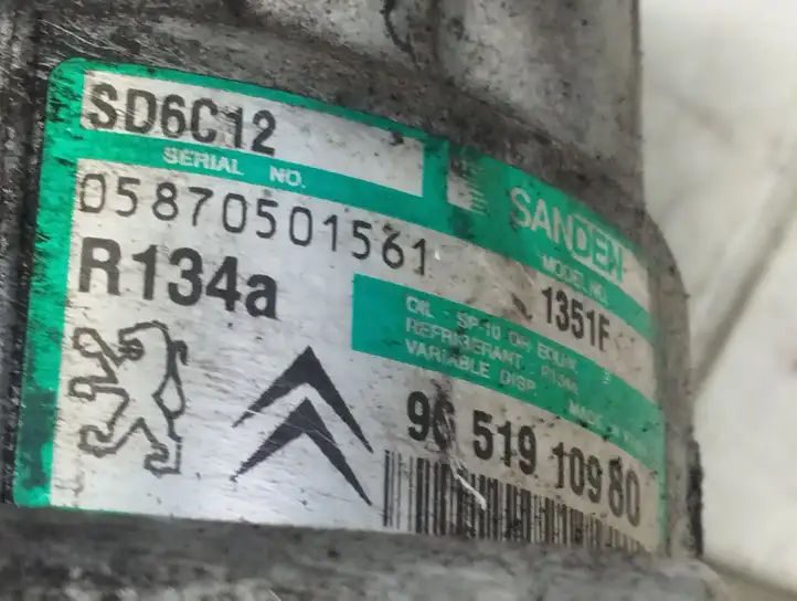 Citroen C4 (2004 - 2008) 9651910980 Компрессор (насос) кондиционера воздуха — фото 6