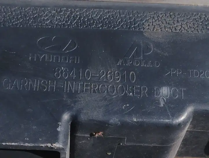 Hyundai Santa Fe (2000 - 2005) 8641026910 Облицовка радиатора — фото 5