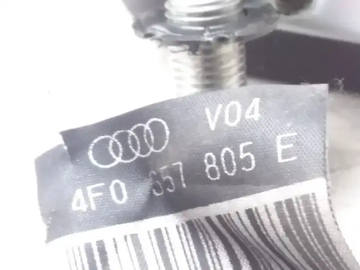 Audi A6 S6 C6 4F (2004 - 2008) 4F0857805E Задний ремень безопасности — фото 3