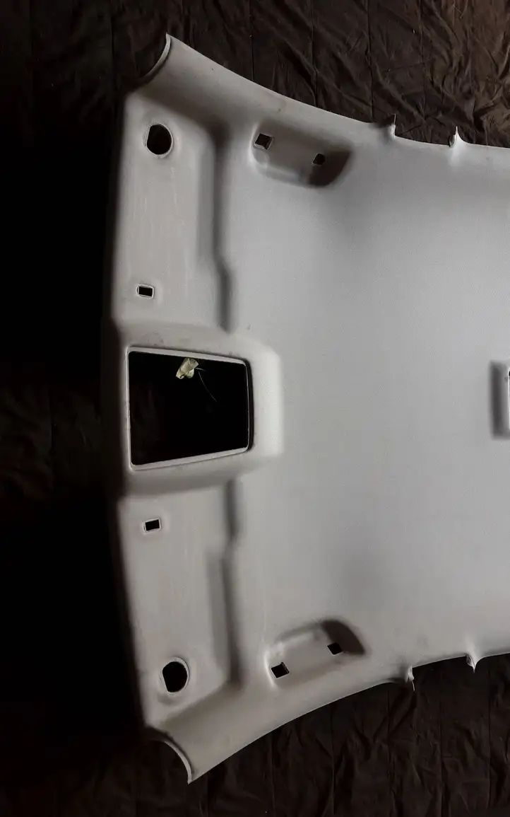 Opel Insignia A (2008 - 2017)  22806813 Потолок