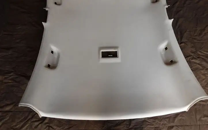 Opel Insignia A (2008 - 2017)  22806813 Потолок