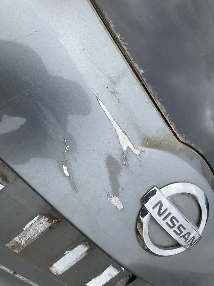 Nissan Murano Z50 (2002 - 2008) Крышка багажника — фото 7