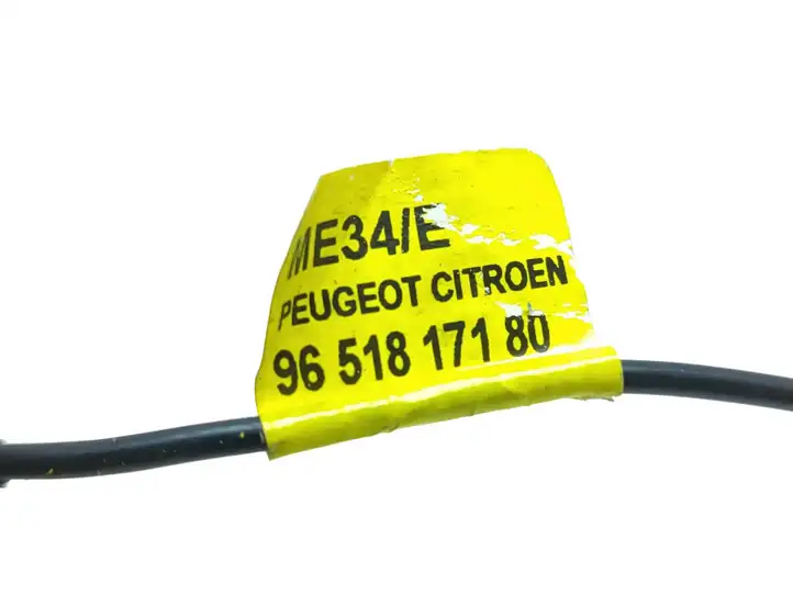Citroen DS5 (2011 - 2018) 9651817180 Микрофон (Bluetooth / телефон) — фото 3