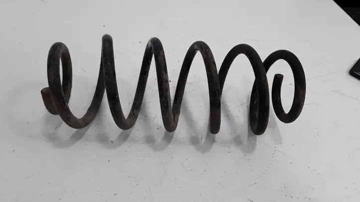 Volkswagen PASSAT B5.5 (2001 - 2005) Пружина подвески — фото 1
