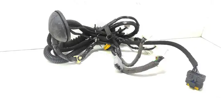 Nissan Qashqai (2010 - 2013) 24124JD10B Проводка передней двери — фото 1