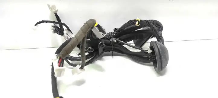 Nissan Qashqai (2010 - 2013) 24124JD10B Проводка передней двери — фото 5