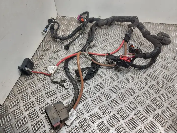 Opel Signum (2002 - 2008)  55354511 Проводка двигателя