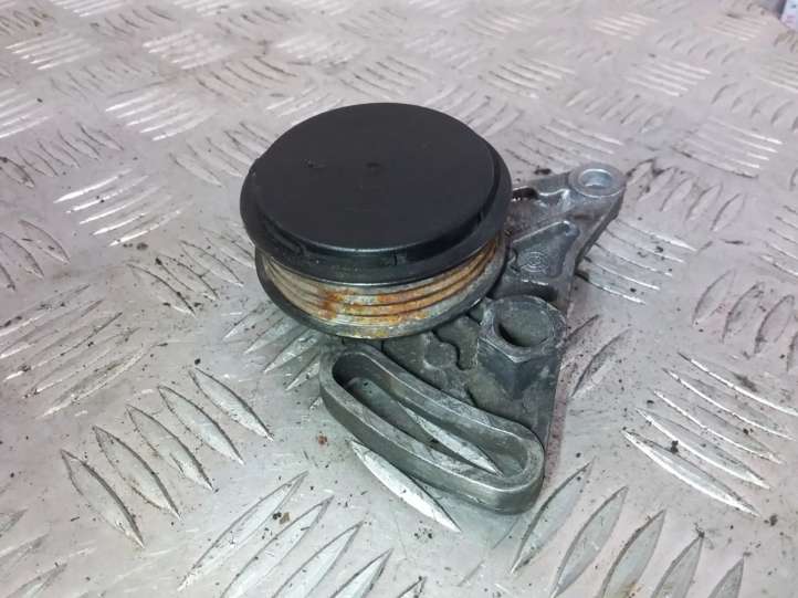 Audi A4 (1994 - 1999)  058260511 Натяжитель ремня кондиционера