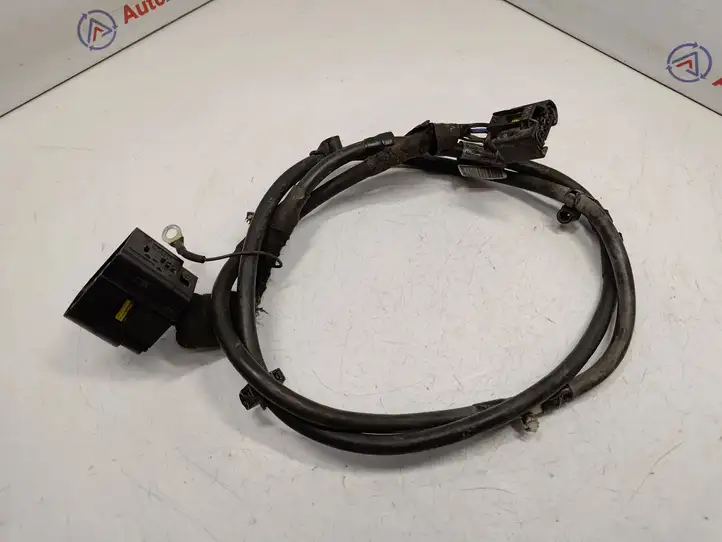 BMW X5 E70 (2006 - 2013) 6970673 Прочая электропроводка — фото 1